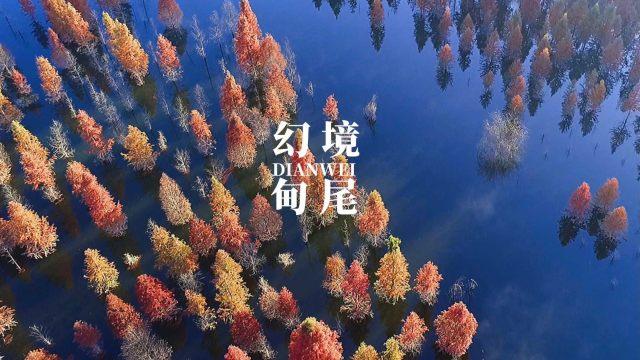 脑洞小老弟无实名认证