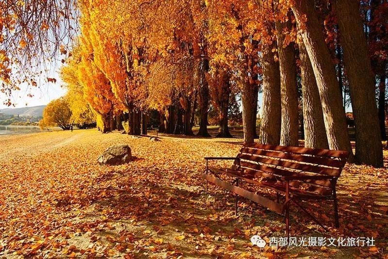 星球大战前线