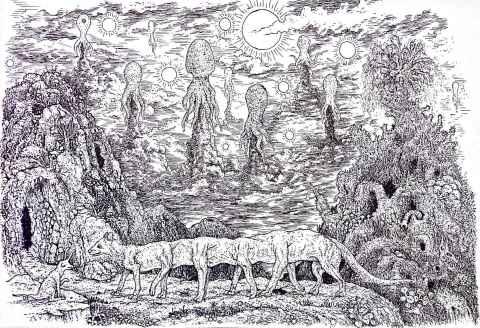 梦幻糖果森林逃生