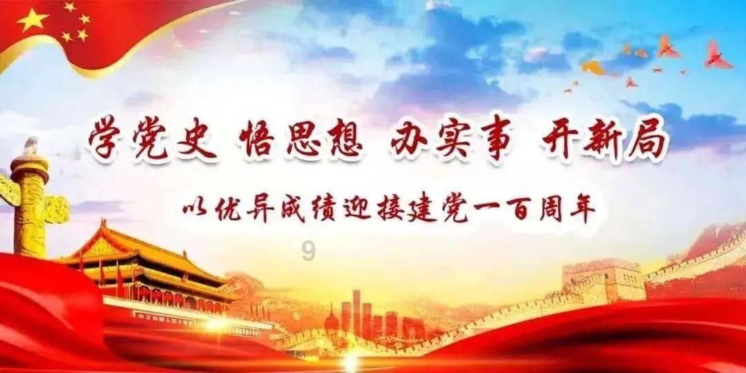 狗狗物品记忆卡